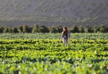 UPA reclama una “revolución global” para proteger e impulsar la agricultura y ganadería familiar