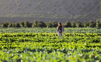 UPA reclama una “revolución global” para proteger e impulsar la agricultura y ganadería familiar