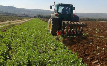 Los ganaderos y agricultores podrán solicitar hasta el 30 de abril las ayudas de la Política Agrícola Común, que este año alcanzan los 75,4 millones