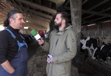 Entrevista a Fernando Fernández, ganadero de Vallamonte (Tineo)