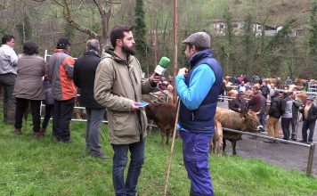 Entrevista a Rubén Fernández, presidente de la IGP Ternera Asturiana