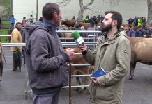 Entrevista a Benito Rodríguez, ganadero de Cangas del Narcea