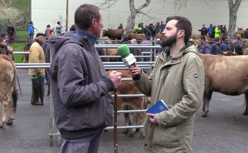 Entrevista a Benito Rodríguez, ganadero de Cangas del Narcea