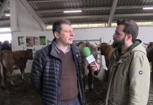 Entrevista a José Ramón Feito, alcalde de Tineo
