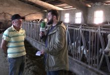 Entrevista a Antonio García, de la ganadería ‘El General’, en La Uz (Tineo)