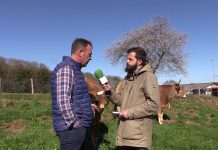 Entrevista a Gerardo Noval, de ASEAVA