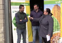 Entrevista a Pedro Martíns y David Millan, de Syngenta