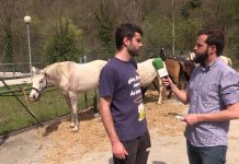 Entrevista a Tomás Menéndez, de Belmonte