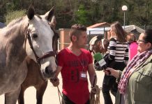 Entrevista a Abraham Vieira, de Mieres