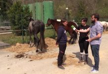 Entrevista a Isabel Cano y Lorena Negrón, de Belmonte