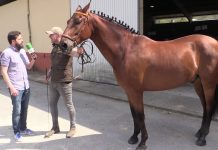 Entrevista a Fernando Rosete, criador de Pola de Siero