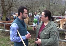 Entrevista a Gonzalo Suero, concejal de Medio Rural y Ganadería de Cangas de Onís