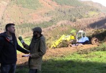 Entrevista a Daniel Colado, ingeniero forestal de Foresma