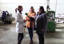 La Polar, la tradición y lo artesano en conserva