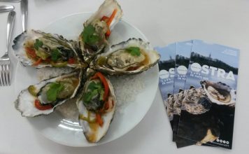 Presentación del VI Festival ‘Somos la Ostra’