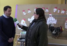 Entrevista a Pelayo Iglesias, Jefe de Estudios de Primaria del Colegio San Luis de Pravia