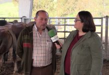 Entrevista a José Manuel González, presidente de ASEAVA