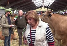 Entrevista a José Luis Fernández, propietario de Jardinera III, Gran Campeona Nacional en Cangas del Narcea
