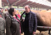 Entrevista a Ángel Díaz Carbajosa, de la ganadería INVERPOR SL