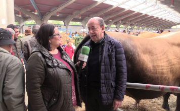 Entrevista a Ángel Díaz Carbajosa, de la ganadería INVERPOR SL