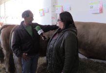 Entrevista al ganadero Antonio Beneítez, de Huergas de Babia