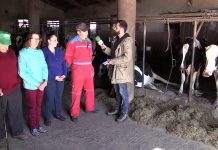 Entrevista a José Álvaro Mora, de la ganadería Casa Fansión, en La Mortera (Tineo)