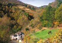 Los alcaldes asturianos piden empleo y respeto ante el despoblamiento de las zonas rurales