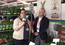 Entrevista a Alberto García, de Almacenes Ladislao