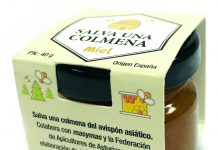 La Federación de Apicultores de Asturias y masymas se unen para luchar contra el avispón asiático