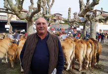 Valeriano Remis: “Todo listo para el XXXII Concurso-Subasta Nacional de Asturiana de la Montaña en Nava”