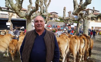 Valeriano Remis: “Todo listo para el XXXII Concurso-Subasta Nacional de Asturiana de la Montaña en Nava”