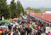 La Feria de Tineo, el mayor escaparate agroganadero de Asturias
