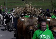 Espectacular éxito del Desfile de la Feria de San Isidro, en Llanera