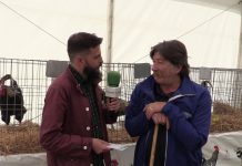 Entrevista a Arturo González, presidente de la Asociación de Criadores de Pita Pinta Asturiana