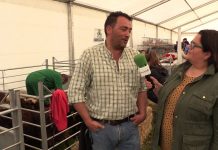 Entrevista a Manuel Pravia, presidente de la Asociación de Criadores de Oveya Xalda