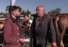 Entrevista a José Felix, tratante de Posada de Llanera