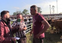 Entrevista a Alejandro Suárez y Joaquín Madera, ganaderos de San Esteban de las Cruces