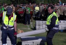 Previa de la exhibición de arrastre de bueyes, en la Feria de San Isidro (Llanera)
