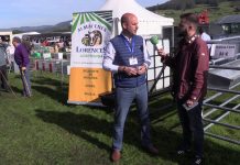 Entrevista a José Antonio Lorences de Almacenes Lorences