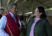 Entrevista a Primitivo García (Tivo), operador de Ganados Tivo