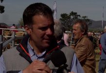 Entrevista a Berto Tama, ganadero de Llanera