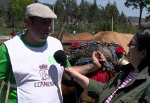 Entrevista a Clemente, de la ganadería El Nini