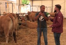 Entrevista a Ovidio Beneitez, ganadero de Huergas de Babia (León), en el XXXII Concurso Subasta Nacional de la Raza Asturiana de la Montaña