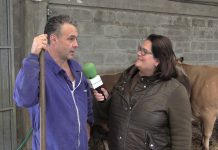 Entrevista a José López, ganadero de Los Fornos (Grao)