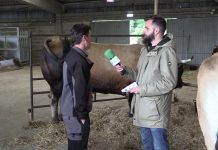 Entrevista a Roberto Fernández, ganadero de Prioto (Grao)