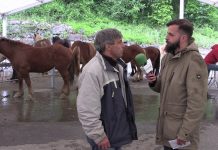 Entrevista a Chuso Iglesias, criador de caballos de Mieres