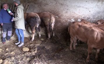 Entrevista a Pepín y Mari Carmen, ganaderos de Malleza (Salas)