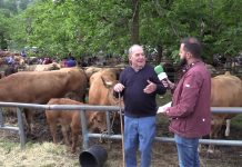 Entrevista a José Manuel Menéndez, ganadero de San Claudio (Oviedo)