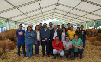 Las ganaderas triunfan en el II Concurso Local de Ganado de Pravia