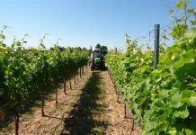 La CNMC vuelve a indignar a agricultores y ganaderos con un informe «disparatado»